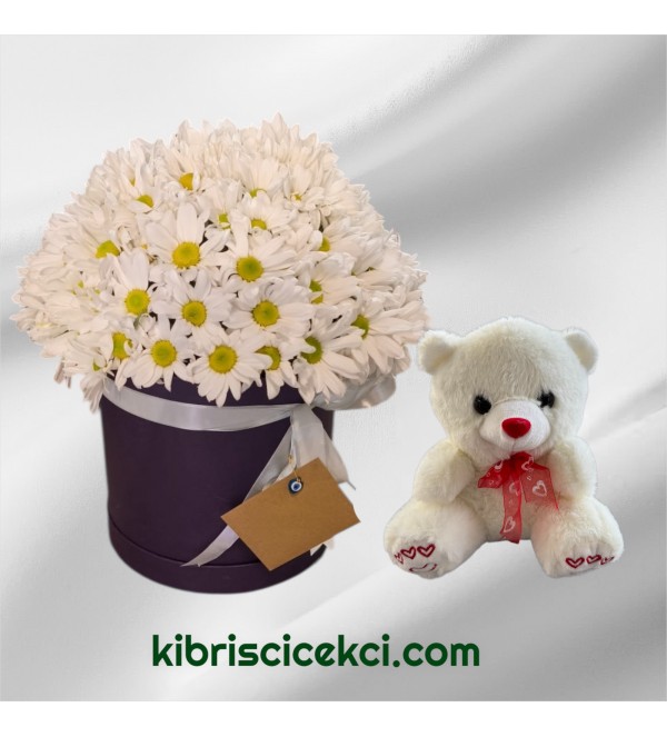 Kutuda Papatya Ayıcık